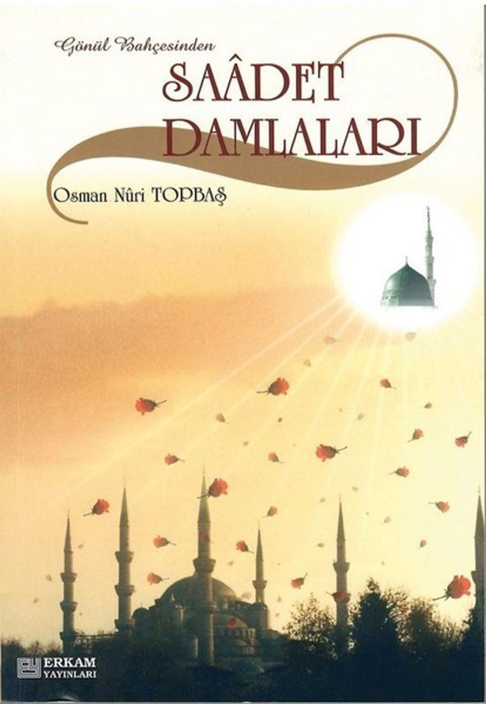 Big bigCover of Saadet Damlalaları