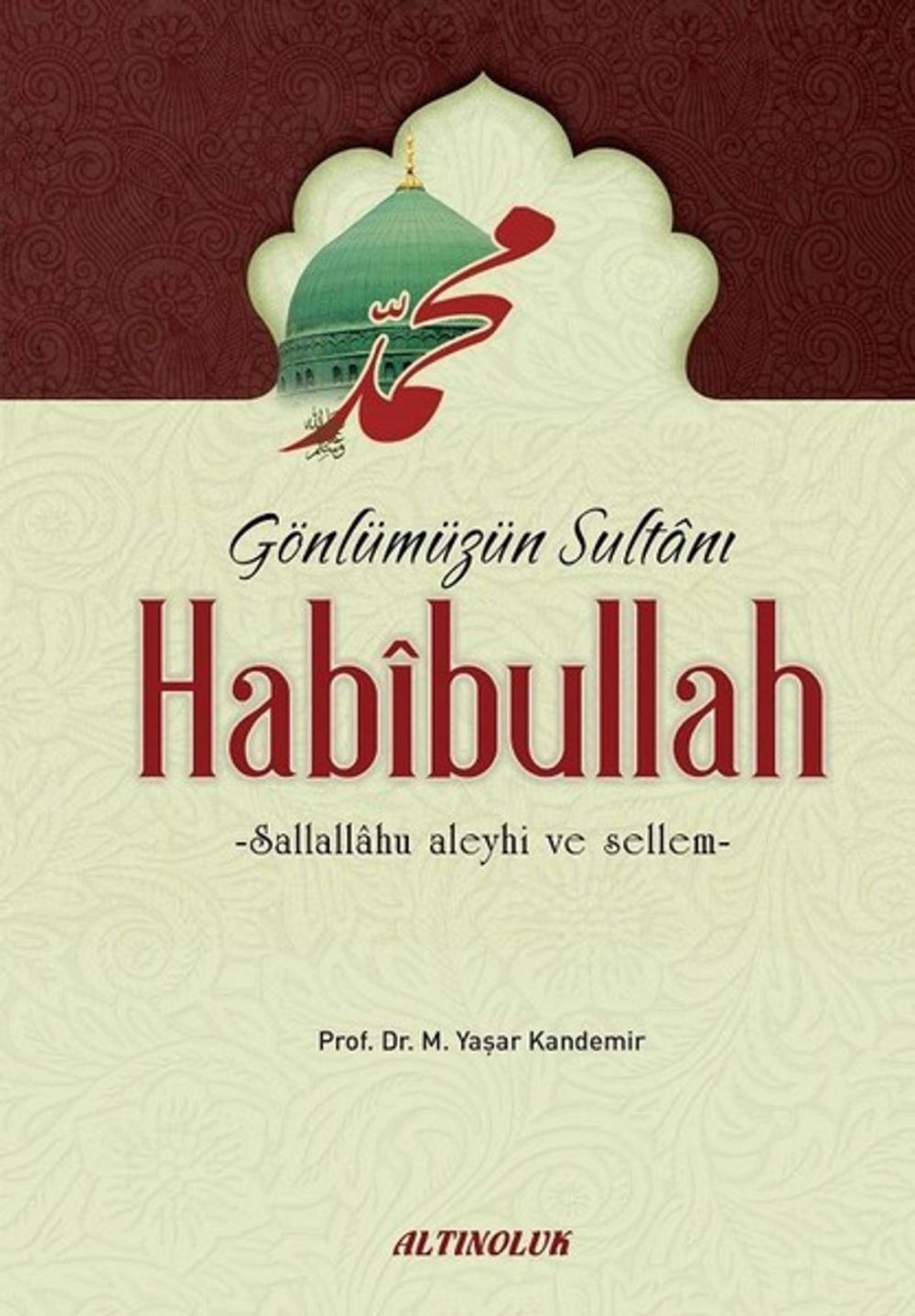 Big bigCover of Habibullah