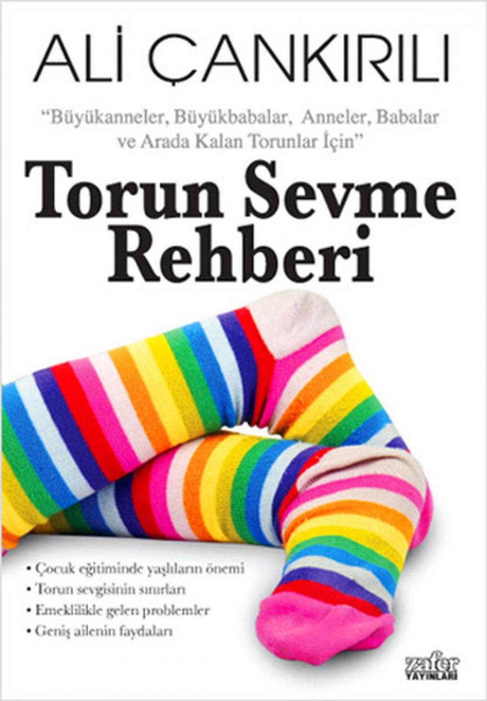 Big bigCover of Torun Sevme Rehberi