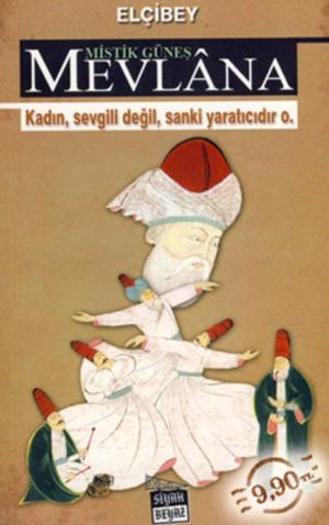Cover of the book Mistik Güneş Mevlana by Katie Davis