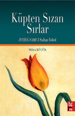 Book cover of Küpten Sızan Sırlar