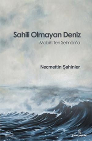 Cover of the book Sahili Olmayan Deniz by Necmettin Şahinler