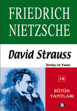 Cover of the book David Strauss by Arthur Schopenhauer