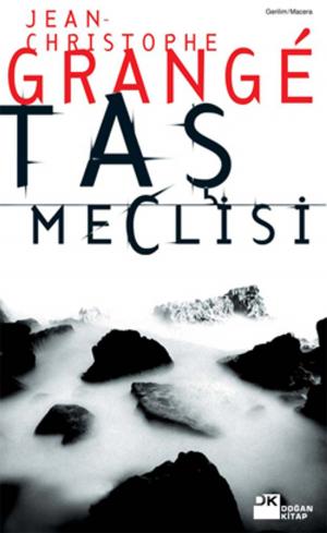 Cover of the book Taş Meclisi by Haruki Murakami