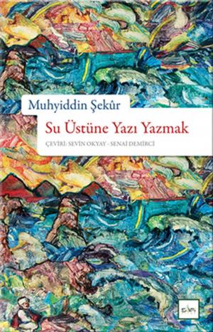 Cover of the book Su Üstüne Yazı Yazmak by Rabia Christine Brodbeck