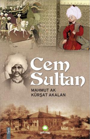 Cover of Cem Sultan