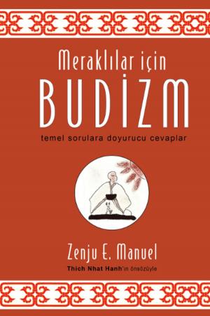 Cover of the book Meraklılar İçin Budizm by David S. Kidder, Noah D. Oppenheim
