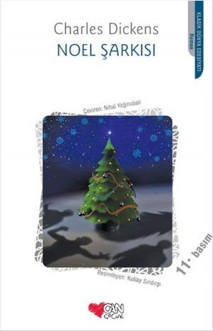 Cover of the book Noel Şarkısı by Elizabeth Stewart