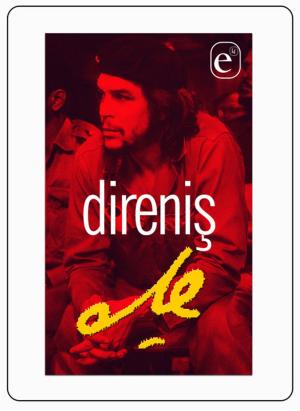 Book cover of Direniş
