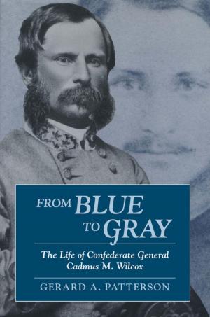Cover of the book From Blue to Gray by Lew Bryson, Don Cazentre
