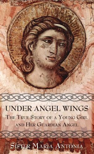 Book cover of Under Angel Wings