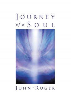 Book cover of Journey of a Soul