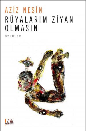 Cover of the book Rüyalarım Ziyan Olmasın by Nesin Yayınevi