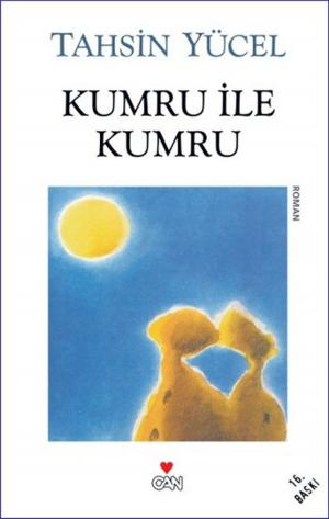 Cover of the book Kumru ile Kumru by Halide Edib Adıvar