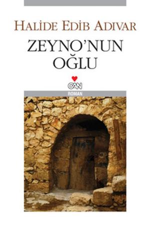 Book cover of Zeyno'nun Oğlu