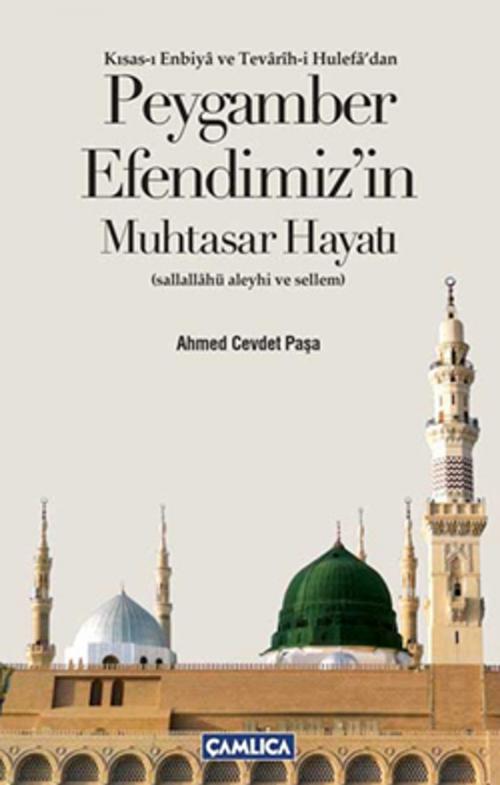 Cover of the book Peygamber Efendimiz'in Muhtasar Hayatı by Ahmed Cevdet Paşa, Çamlıca Basım Yayın