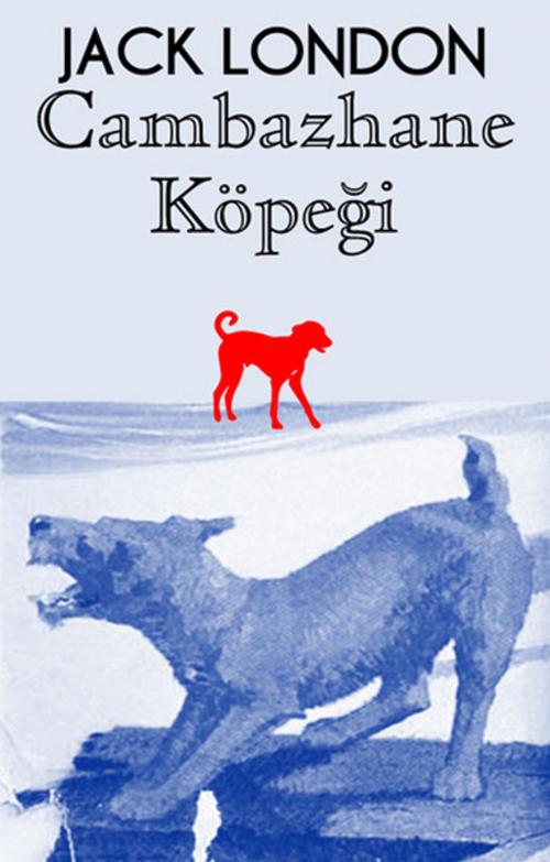 Cover of the book Cambazhane Köpeği by Jack London, Kafe Kültür Yayıncılık