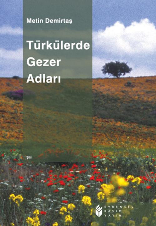 Cover of the book Türkülerde Gezer Adları by Metin Demirtaş, Evrensel Basım Yayın