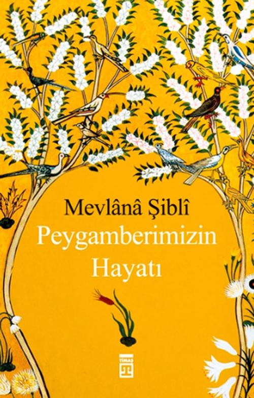 Cover of the book Peygamberimizin Hayatı by Mevlana Şibli Numani, Timaş Yayınları