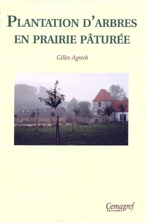 Cover of the book Plantation d'arbres en prairie pâturée by Gilles Agrech, Quae