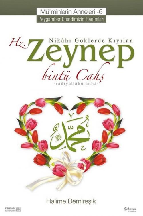 Cover of the book Mü'minlerin Anneleri 6-Hz. Zeynep by Halime Demireşik, Erkam Yayınları