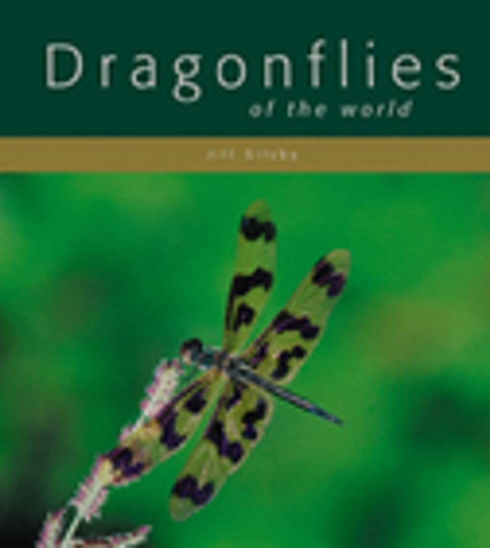 Big bigCover of Dragonflies of the World