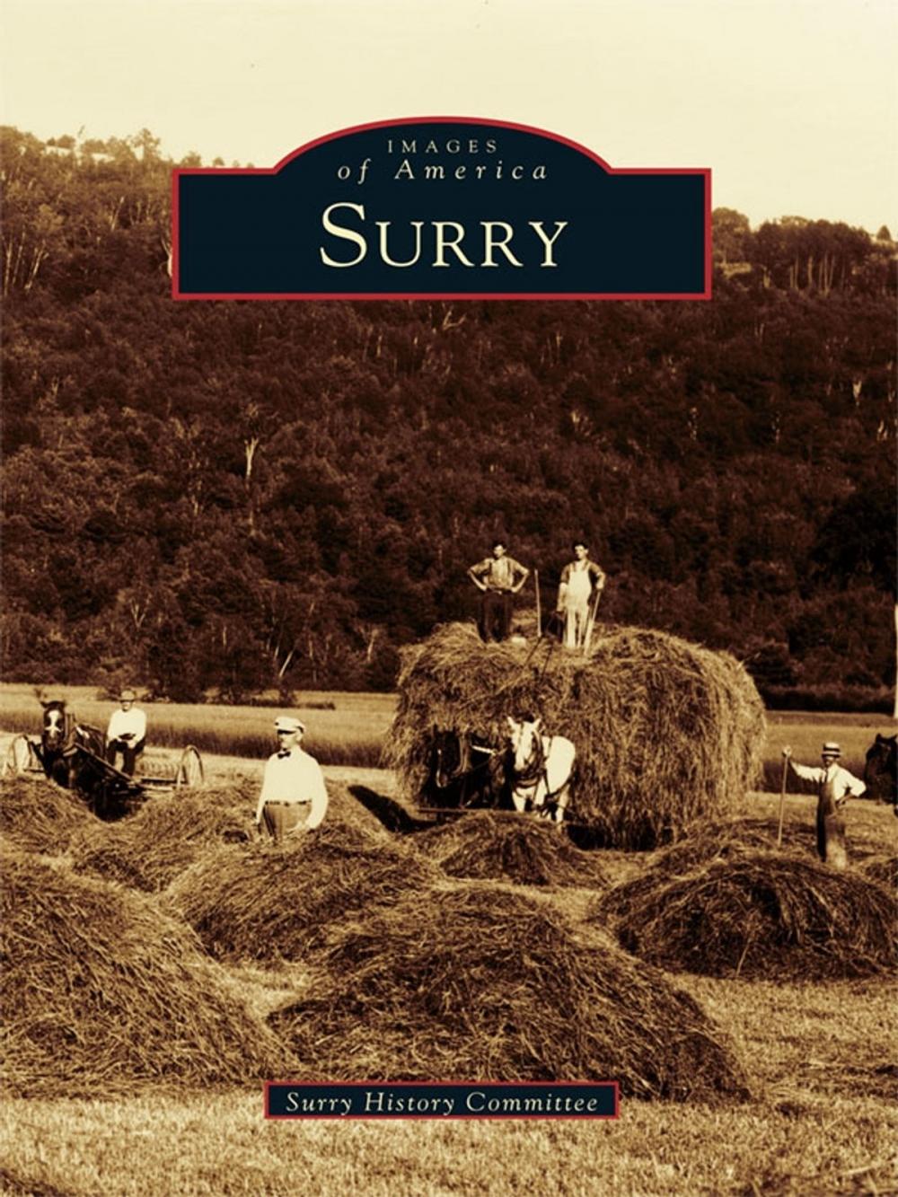 Big bigCover of Surry