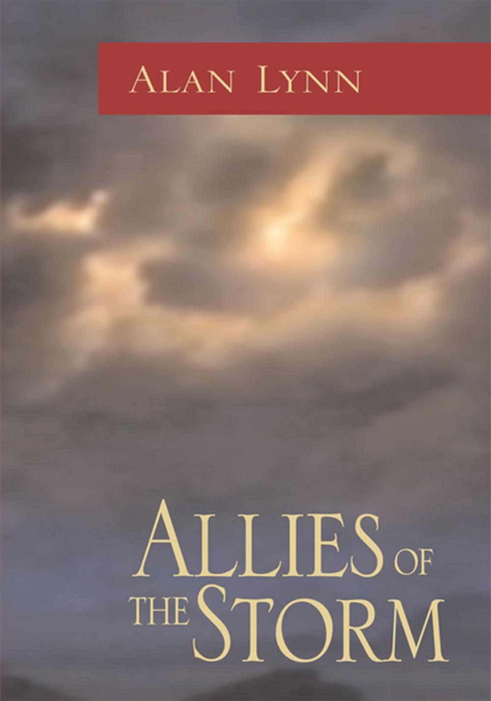 Big bigCover of Allies of the Storm