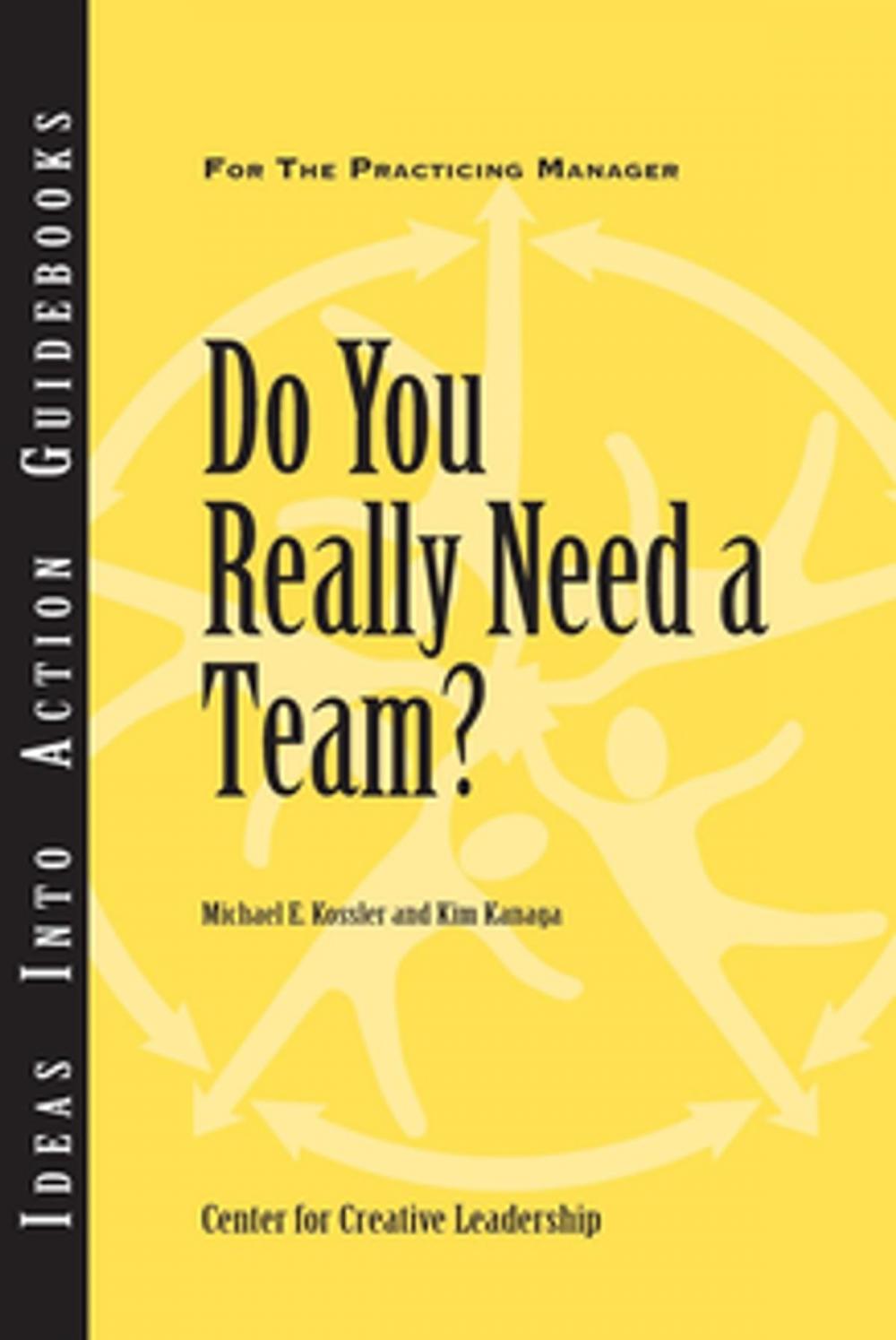 Big bigCover of Do You Really Need a Team?