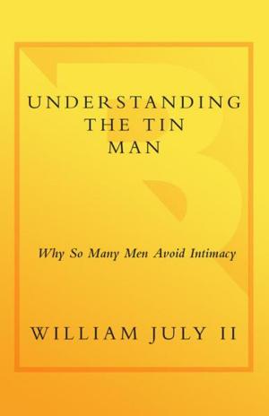Cover of the book Understanding the Tin Man by Alana Jones