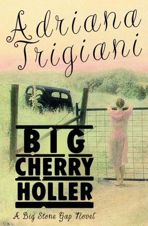 Book cover of Big Cherry Holler