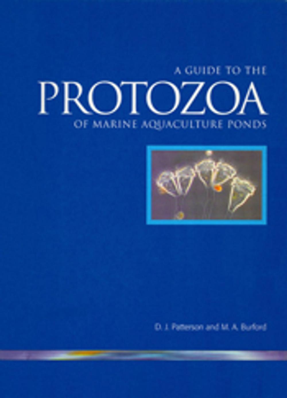 Big bigCover of Guide to Protozoa of Marine Aquaculture Ponds