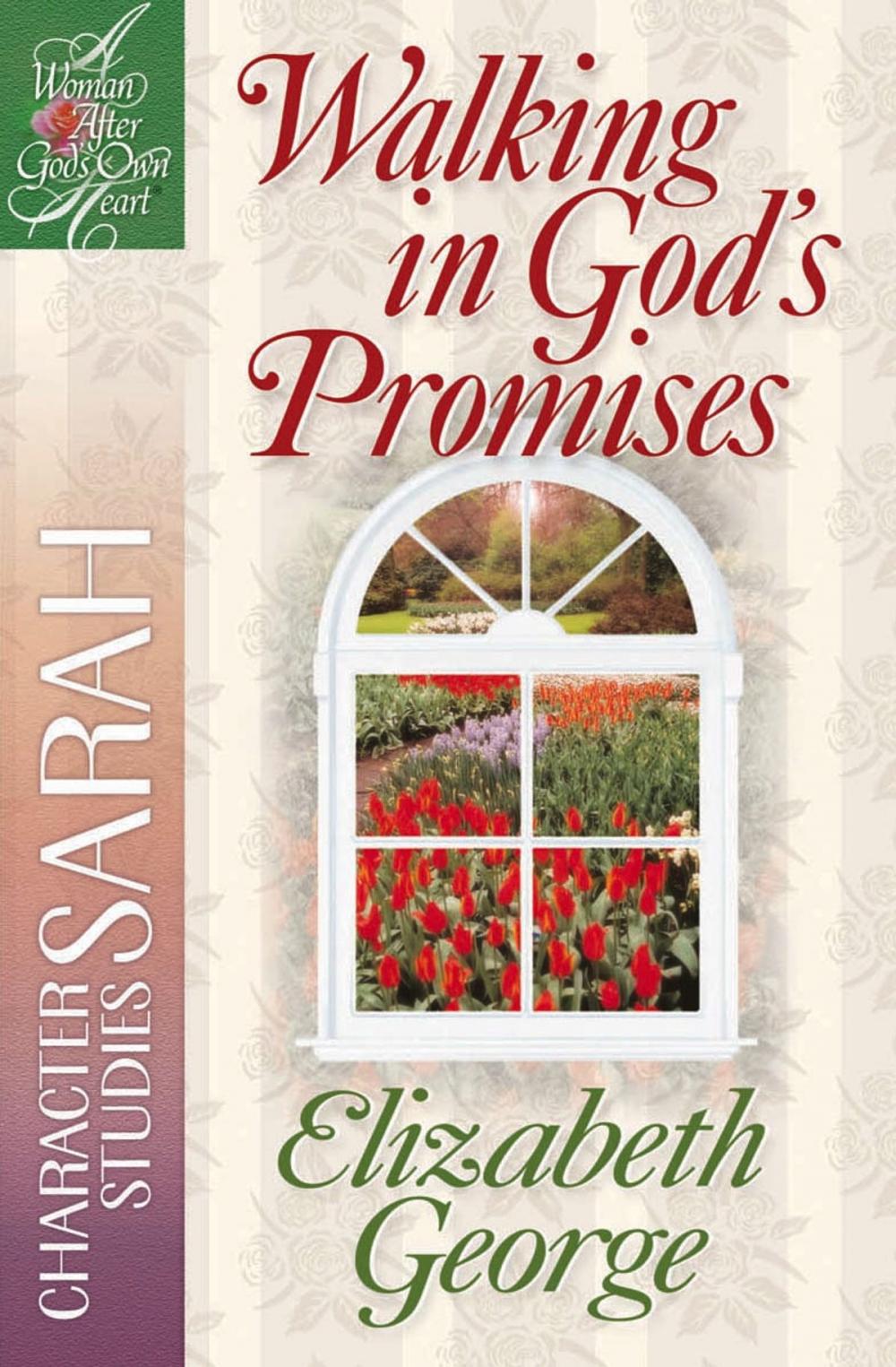 Big bigCover of Walking in God's Promises