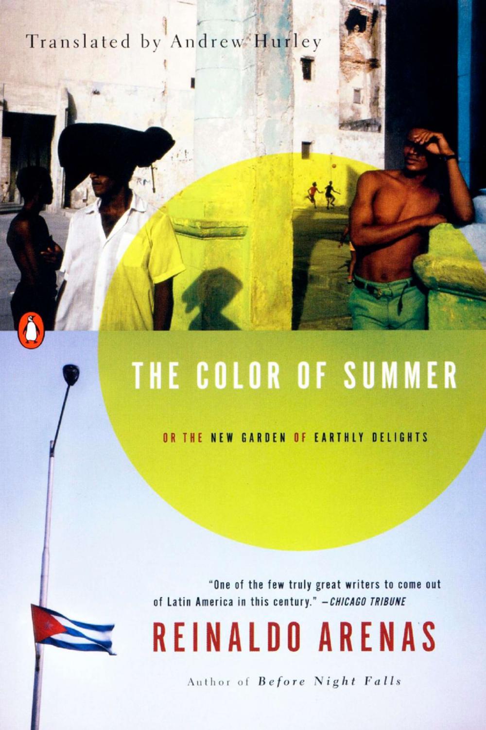 Big bigCover of The Color of Summer