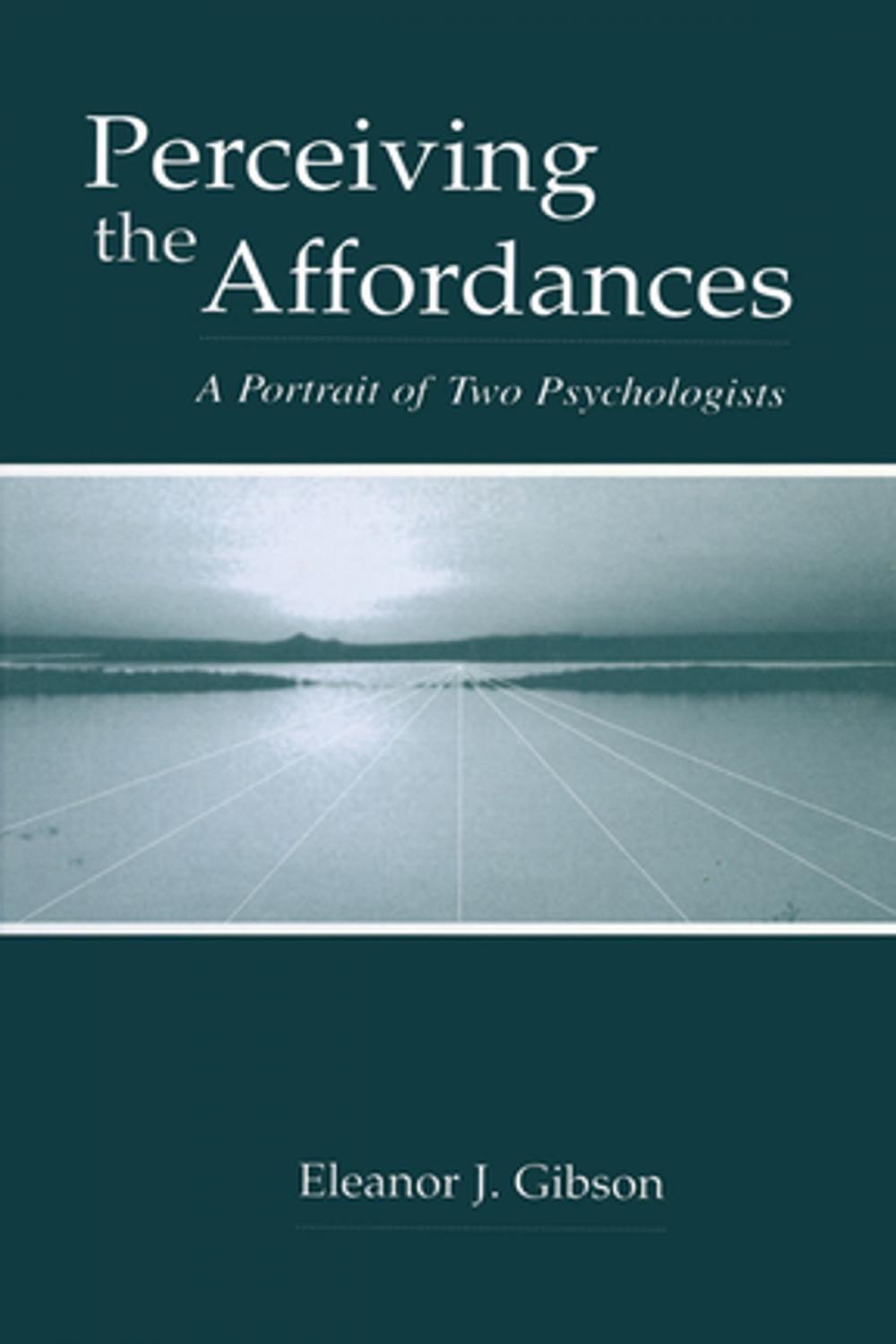 Big bigCover of Perceiving the Affordances