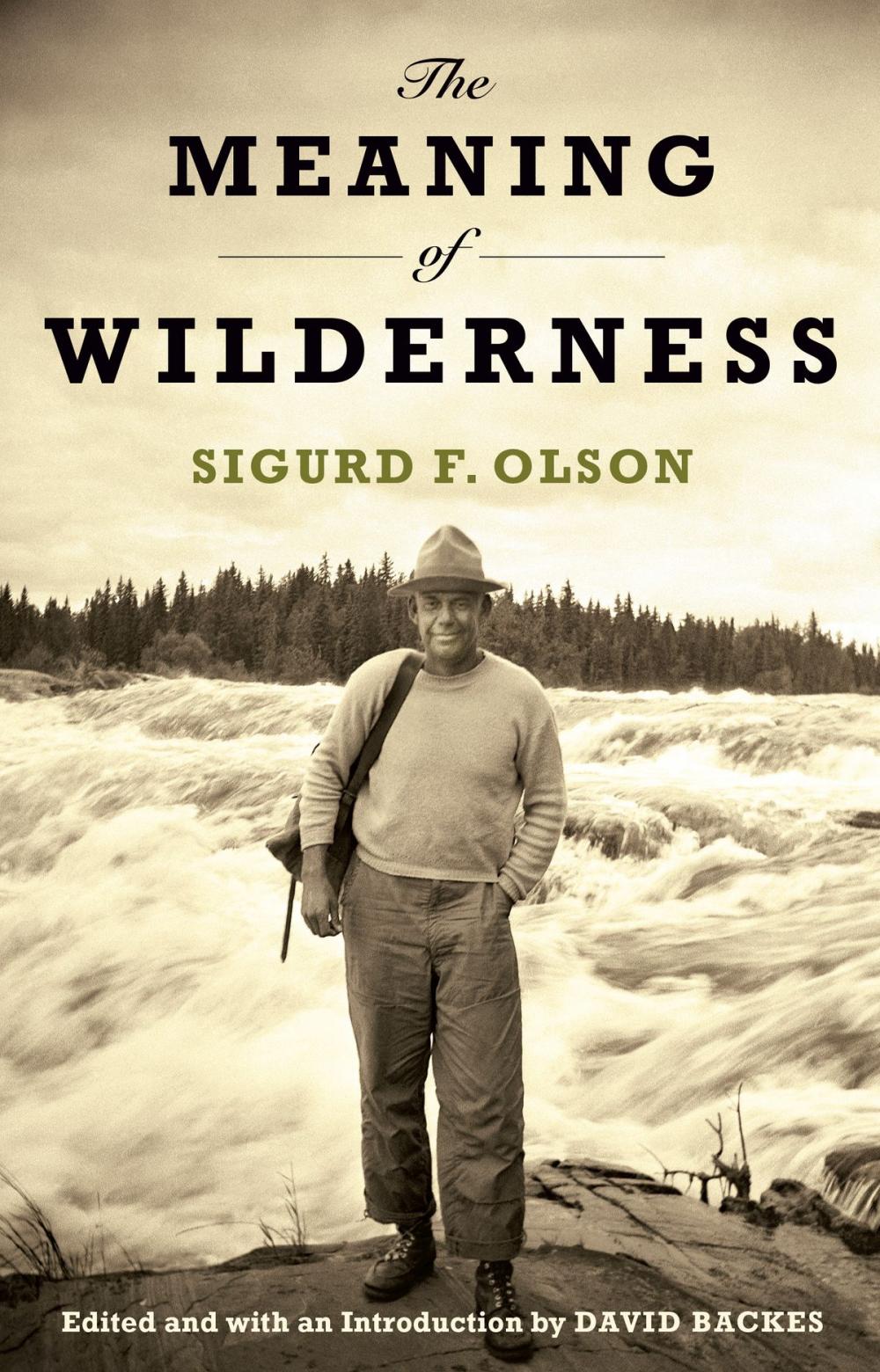 Big bigCover of Meaning Of Wilderness