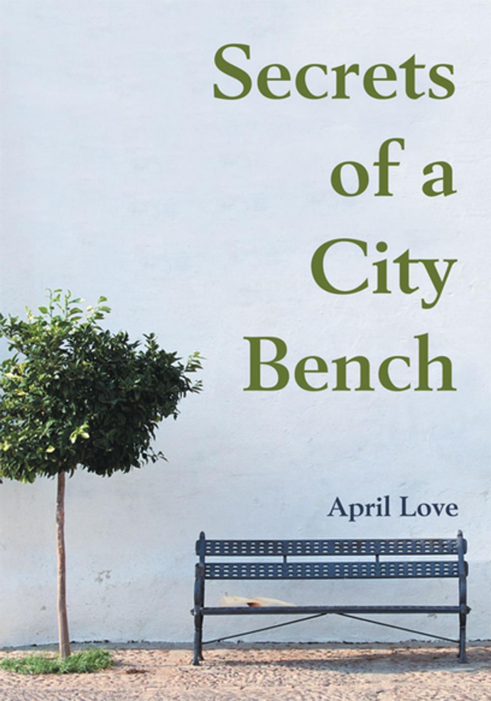 Big bigCover of Secrets of a City Bench