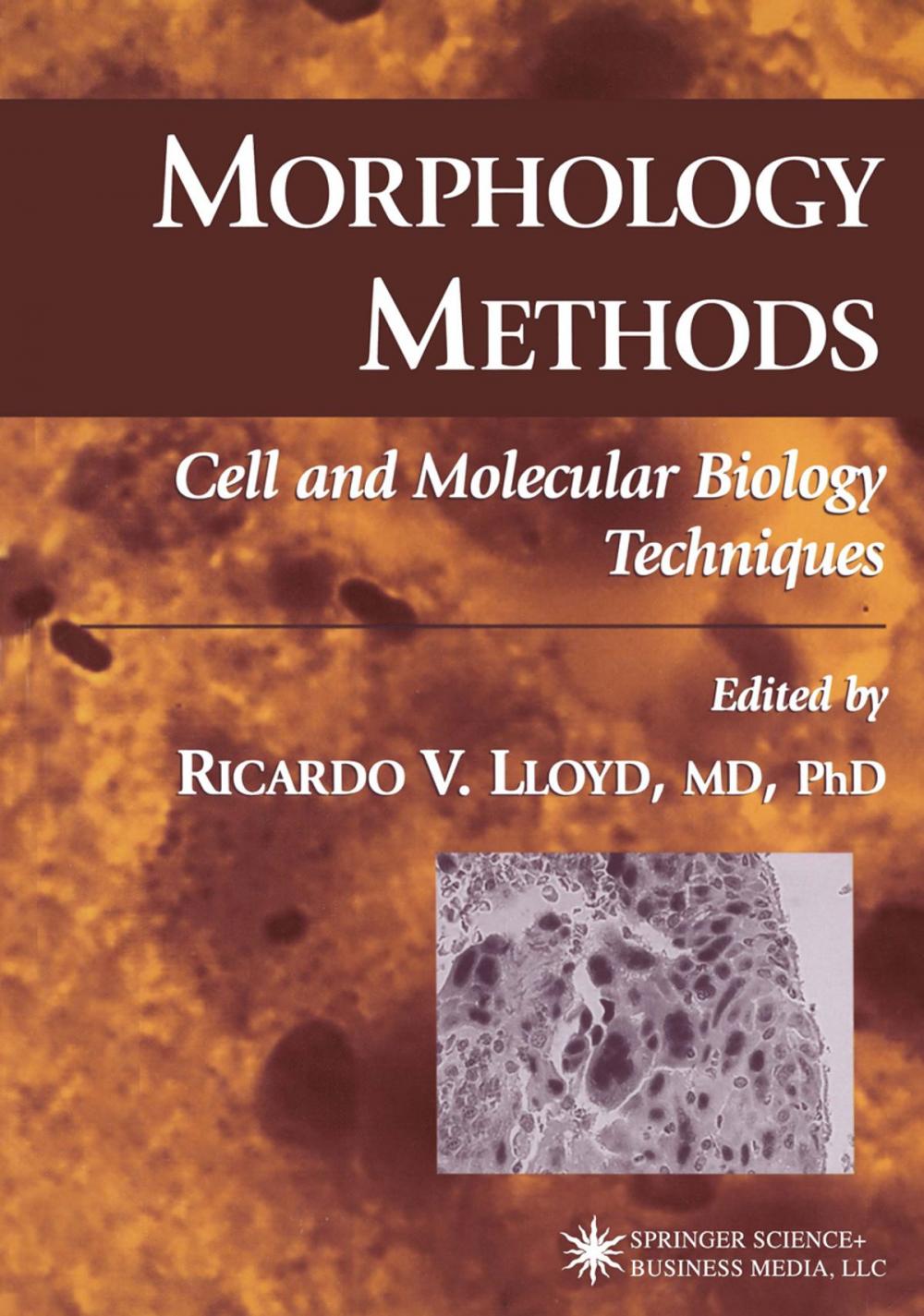 Big bigCover of Morphology Methods