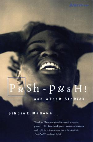 Cover of the book Push Push by Shayna Krishnasamy