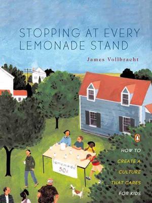 Cover of the book Stopping at Every Lemonade Stand by Anya Kamenetz