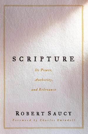 Cover of the book Scripture by Amy Clipston