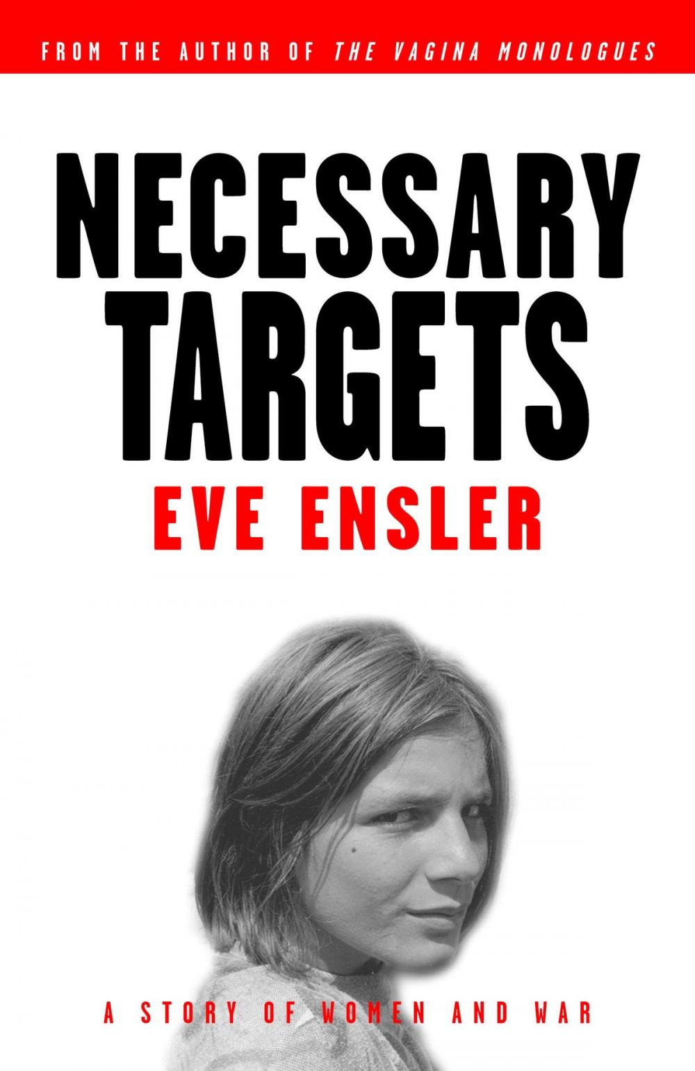 Big bigCover of Necessary Targets