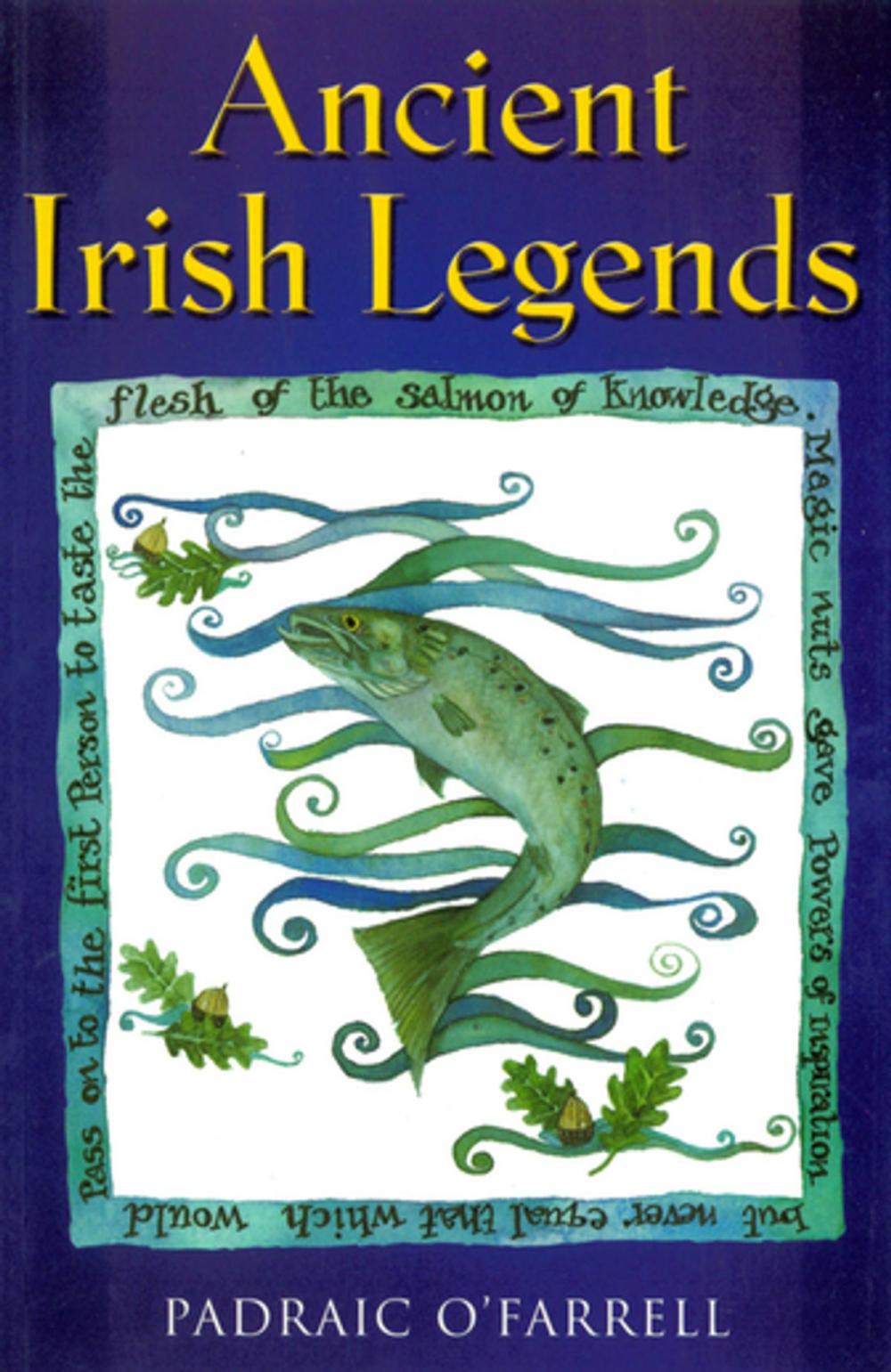 Big bigCover of Ancient Irish Legends