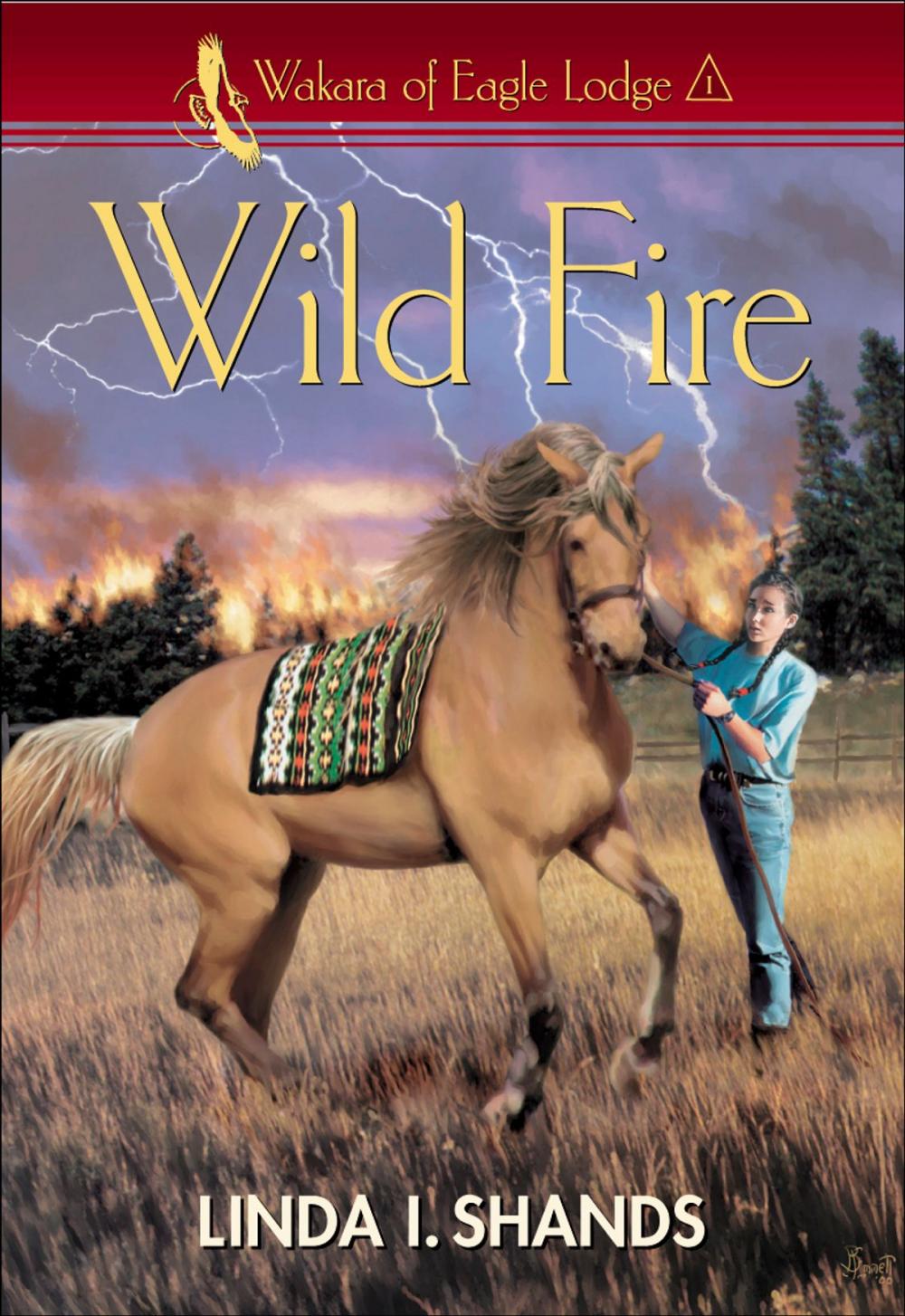 Big bigCover of Wild Fire (Wakara of Eagle Lodge)