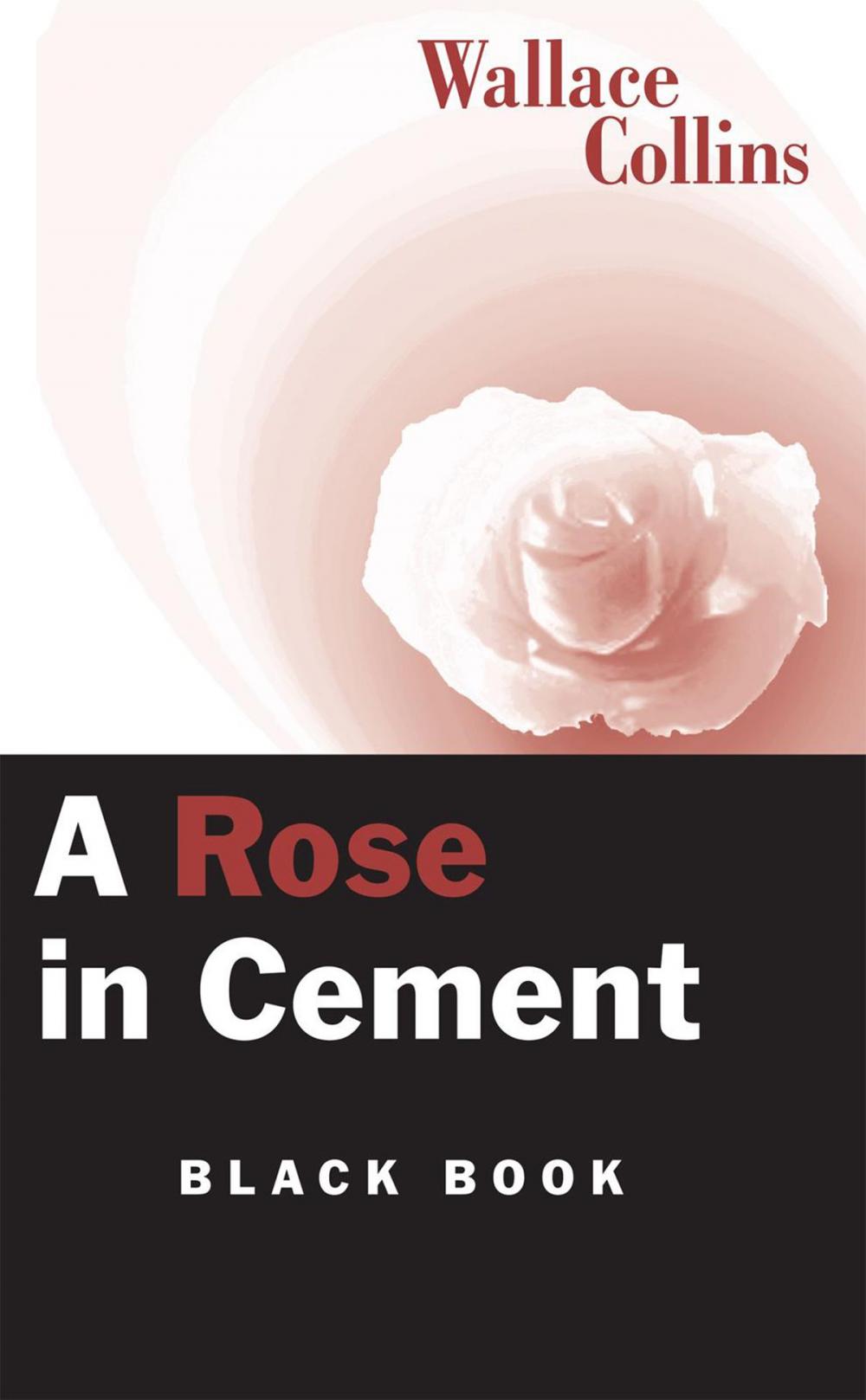 Big bigCover of A Rose in Cement