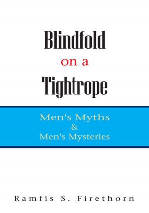 Cover of the book Blindfold on a Tightrope by Lynda L. Durrett, Yisrael Avila