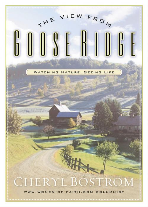 Cover of the book The View from Goose Ridge by Cheryl Bostrom, Thomas Nelson