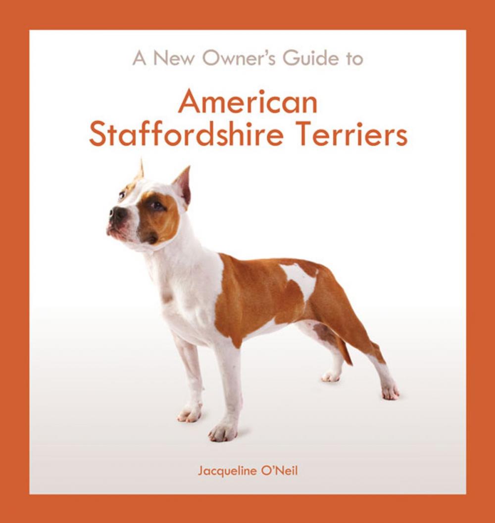 Big bigCover of American Staffordshire Terrier