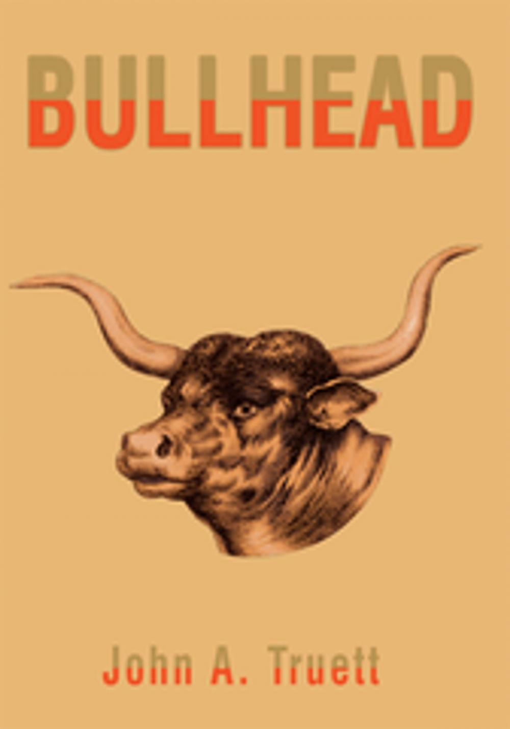 Big bigCover of Bullhead