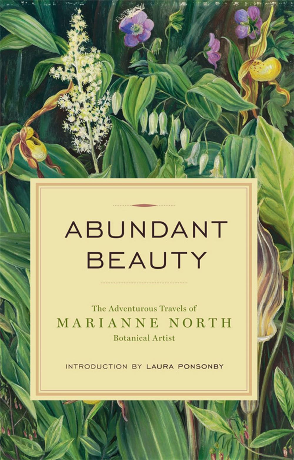 Big bigCover of Abundant Beauty